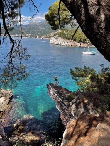 a person standing on a rock overlooking a body of water at Teuta Azure Apartment - Blue Horizont Complex, Sveti Stefan in Pržno