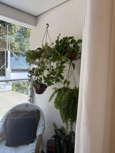 a room with potted plants on the wall at Allianz Parque , Perdizes in São Paulo