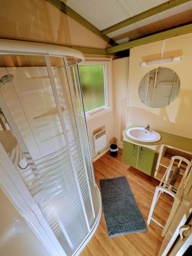 La petite salle de bains est pourvue d'une douche et d'un lavabo. dans l'établissement Le Chalet de la Source, à Saint-Sylvain