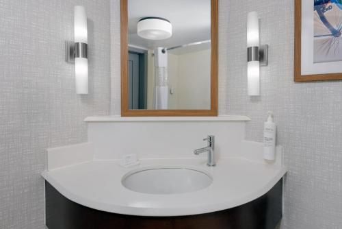 Bagno di Hampton Inn Buffalo-Airport Galleria Mall