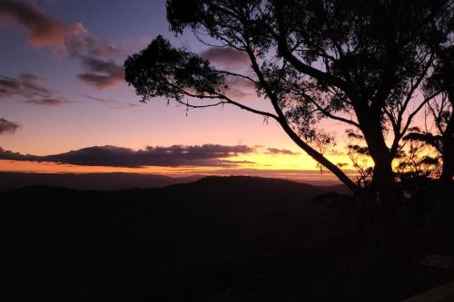 a sunset with a tree in the foreground at Weemilah Spectacular Valley and Escarpment Views in Mount Victoria