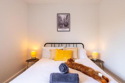 a cat laying on a bed in a bedroom at Cozy property in Ealing