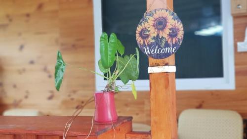 Fotografie z fotogalerie ubytování Samroiyod Nature and Art Retreat v destinaci Ban Phu Yai