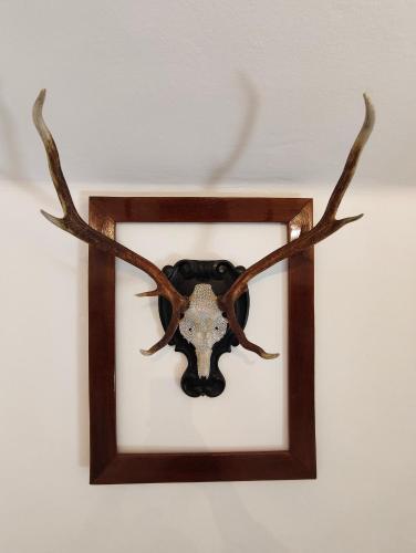 Imagen de la galería de Das Bergnest Maishofen, en Mitterhofen