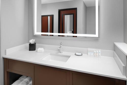 a bathroom with a white sink and a mirror at Hampton Inn & Suites By Hilton Long Island Farmingdale in Farmingdale