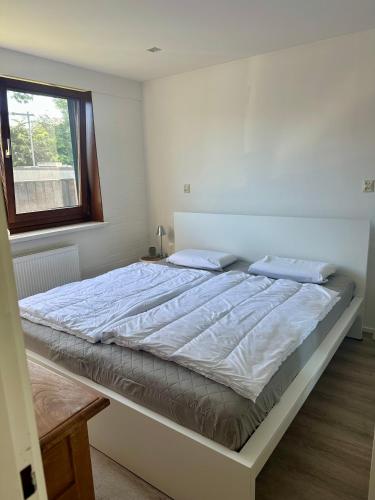 Postel nebo postele na pokoji v ubytování Bungalow kleine Deichperle, Strand und Deich in unmittelbarer Nähe!