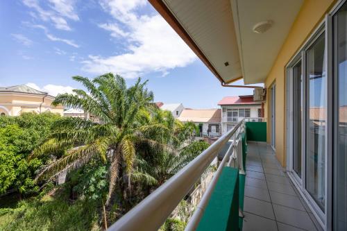 Lumina royal - DestinationGuyane