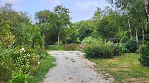 a gravel road in a garden with trees at Chalet sur l'eau dans un cadre idyllique in Nesmy