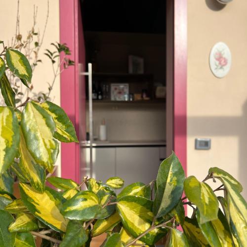 a potted plant in front of a refrigerator at Agriturismo Prato del Re in Prignano sulla Secchia