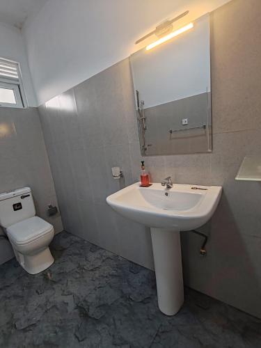 a bathroom with a sink and a toilet and a mirror at Mahaweli View Inn in Kandy