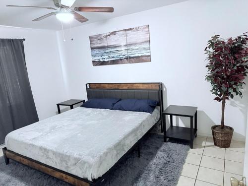 a bedroom with a bed and a ceiling fan at Work or Relax Convention center in McAllen