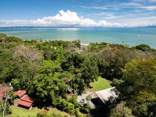 an overhead view of the ocean with trees and houses at Ocean View Modern Dream House 1 in Pavones