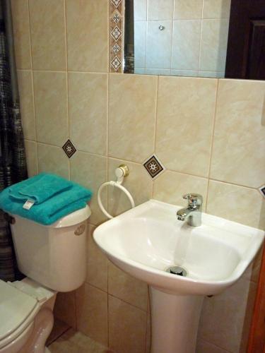 a bathroom with a sink and a toilet at Hostal y Cabañas Villa Germana in Puerto Varas