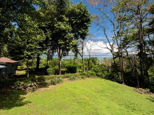 a grassy hill with trees and a house at Ocean View Modern Dream House 1 in Pavones