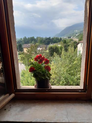 a pot of flowers sitting on a window sill at Al Viandante Casa Rosa in Sitran