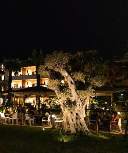 a tree in front of a hotel at night at Vila Lasko Hotel in Golem