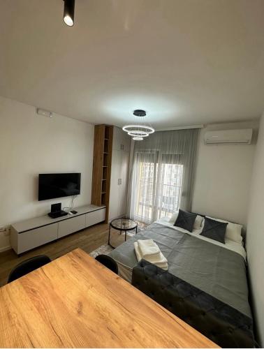 TV a/nebo společenská místnost v ubytování Capital Luxe Podgorica