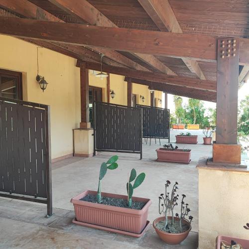 a patio with potted plants and a wooden ceiling at Agriturismo Baglio Vecchio in Castelvetrano Selinunte