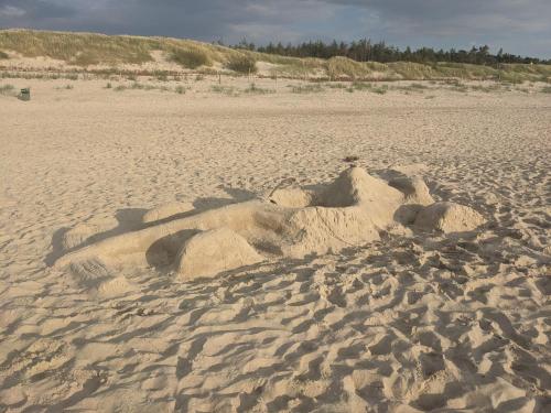 a sand castle on a sandy beach at Premium Holidays Apartamenty przy plaży in Rowy