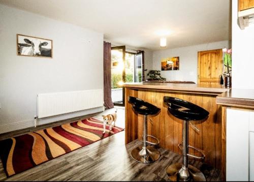 a kitchen with two bar stools and a dog on a rug at The West Wing, Kiskeam 