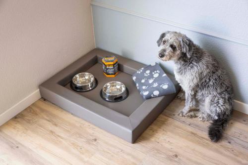 a dog is sitting in a dog food box at TUI BLUE Sylt in Rantum