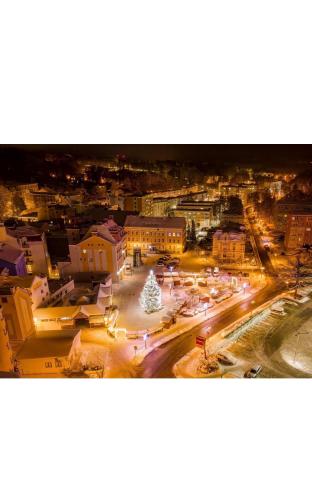 a view of a city at night with a christmas tree at Hotel U Radnice Aš in Aš