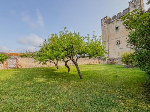 Zahrada ubytování Charmante maison de ville avec vue sur le donjon avec wifi et jardin