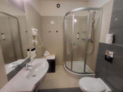 a bathroom with a shower and a sink and a toilet at Apartamenty Every Sky Polna 4 Karpacz in Karpacz