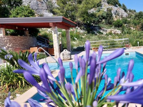 Apartment in Orebic with sea view, terrace, air conditioning, WiFi 114-1