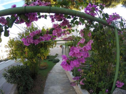 House Helena – Photos 3