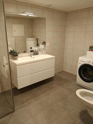 a bathroom with a sink and a washing machine at Hagekjeråsen 18 B in Lyngdal