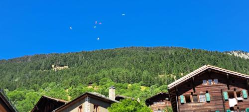 a group of houses in front of a mountain at Chalet Bernadette in Mörel