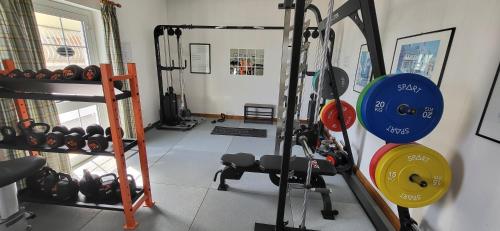 a room with a gym with weights and a simulator at Village Hotel Lucia in Tremosine Sul Garda