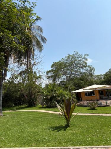 a house in a yard with a palm tree at Cabañas la Granja Rincón de Guayabitos in Rincon de Guayabitos