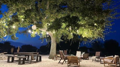 a picnic table and chairs under a tree at night at Trullincanto Monopoli by JD Collection in Monopoli