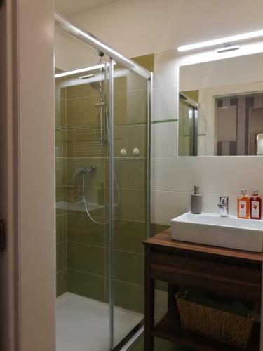 a bathroom with a shower and a sink at Apartmány Na Staré poště in Jimramov