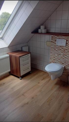 a bathroom with a toilet and a sink in a attic at Zur Schleibrücke in Boren