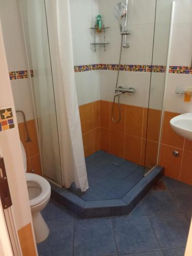 a bathroom with a shower and a toilet at Villa Angel sea view in Trogir