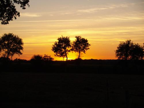 Gallery image of camping chez l'habitant in Noyal-Muzillac