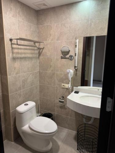 a bathroom with a toilet and a sink at Bakuriani Crystal Loft Apt in Bakuriani