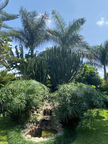Fotografie z fotogalerie ubytování Garden Escape v destinaci Arusha