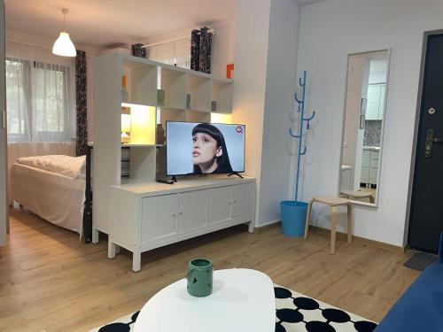 ein Wohnzimmer mit einem TV auf einer Kommode in der Unterkunft Apartament Corvin 2 in Hunedoara