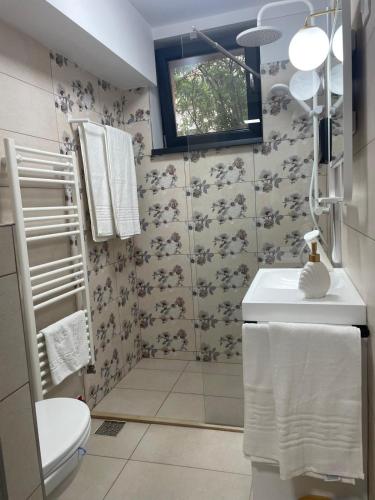 a bathroom with a shower and a toilet and a sink at Apartament Corvin 2 in Hunedoara