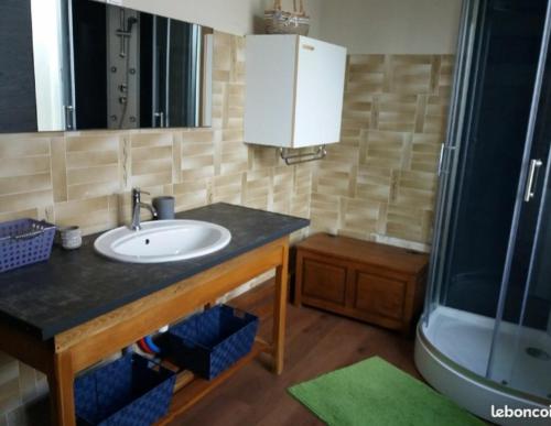 a bathroom with a sink and a shower at Gîtes du Café de la poste in Le Buisson