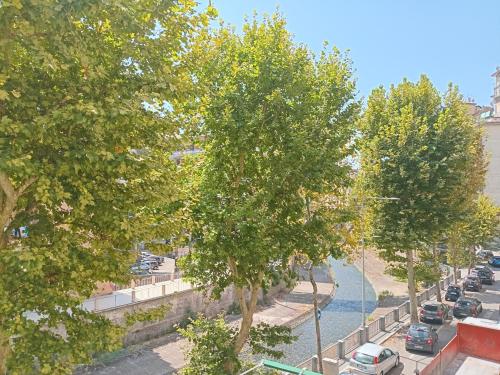 サレルノにあるNonna Ida homeの道路に木々や車が並ぶ通りの景色