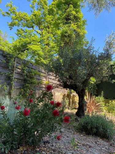 a tree in a garden next to a fence at Hôtel Beausoleil in Montélimar