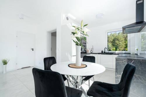 Η κουζίνα ή μικρή κουζίνα στο Luksusowy Apartament Pod Lasem Szczecin-Pilchowo