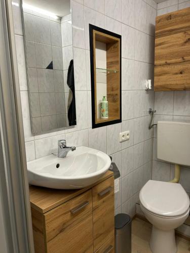 アシャウにあるZillertalerhütteの洗面台とトイレ付きのバスルーム