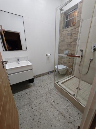 a bathroom with a shower and a sink and a toilet at ARCHITECT's VIEW SUITE 1 in Durban