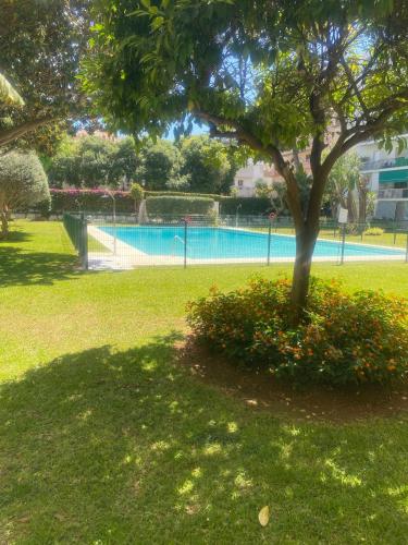 Balmoral CASA PIPO